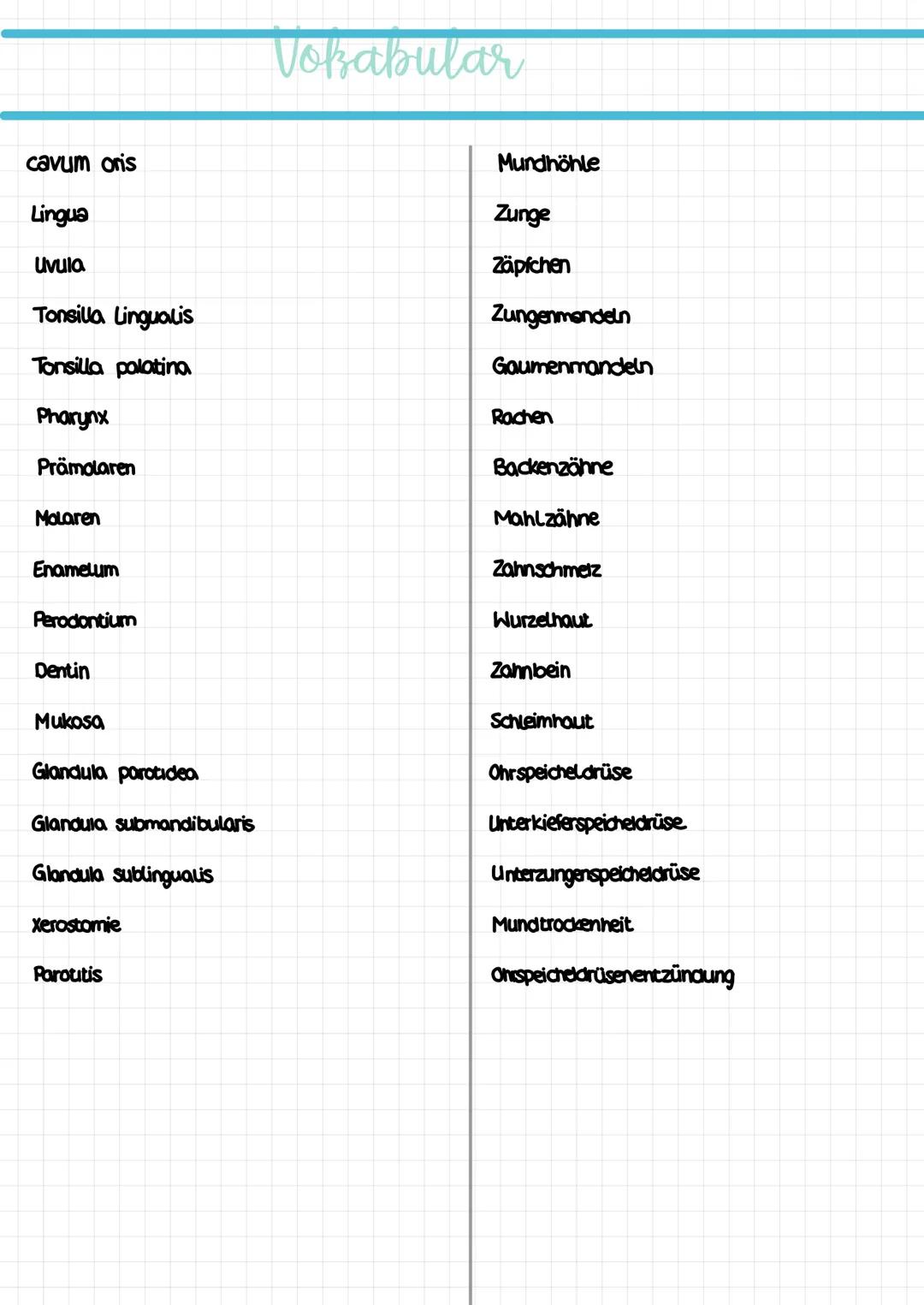 Mund-
pflege cavum oris
Lingua
Uvula
Tonsilla Lingualis
Tonsilla palatina
Pharynx
Prämolaren
Molaren
Enamelum
Perodontium
Dentin
Mukosa
Glan