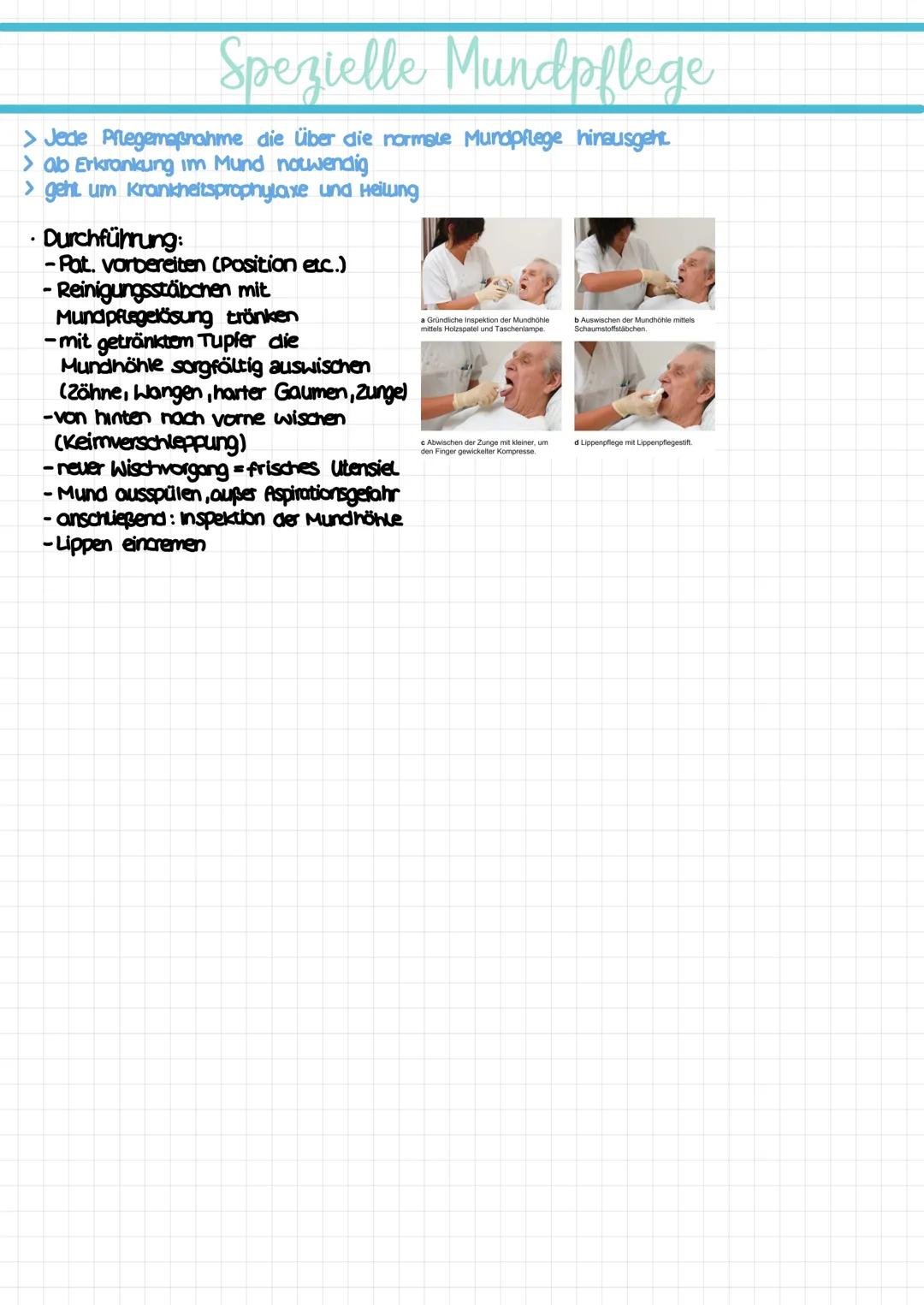 Mund-
pflege cavum oris
Lingua
Uvula
Tonsilla Lingualis
Tonsilla palatina
Pharynx
Prämolaren
Molaren
Enamelum
Perodontium
Dentin
Mukosa
Glan