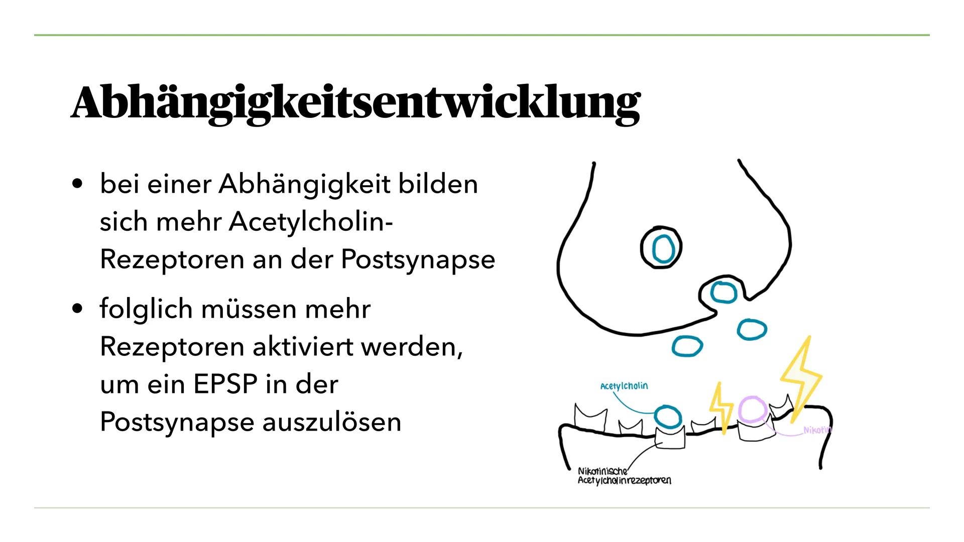 VON MIRA K. UND JULIA S.
Nikotin, Koffein, Teein
und seine Wirkung Inhalt I.
I. Nikotin
1. Was ist Nikotin?
2. Anwendung als Genussdroge
3. 