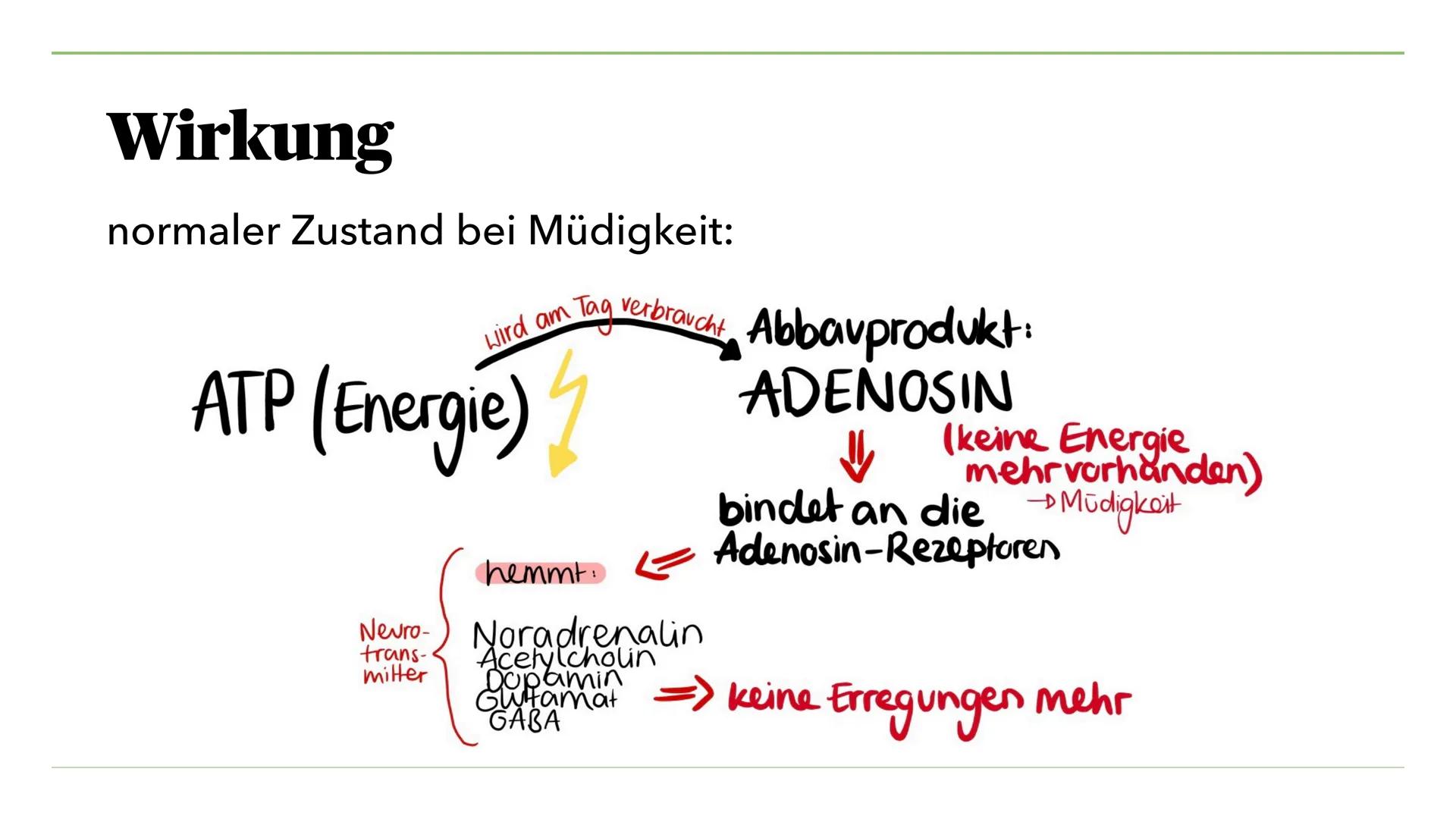 VON MIRA K. UND JULIA S.
Nikotin, Koffein, Teein
und seine Wirkung Inhalt I.
I. Nikotin
1. Was ist Nikotin?
2. Anwendung als Genussdroge
3. 