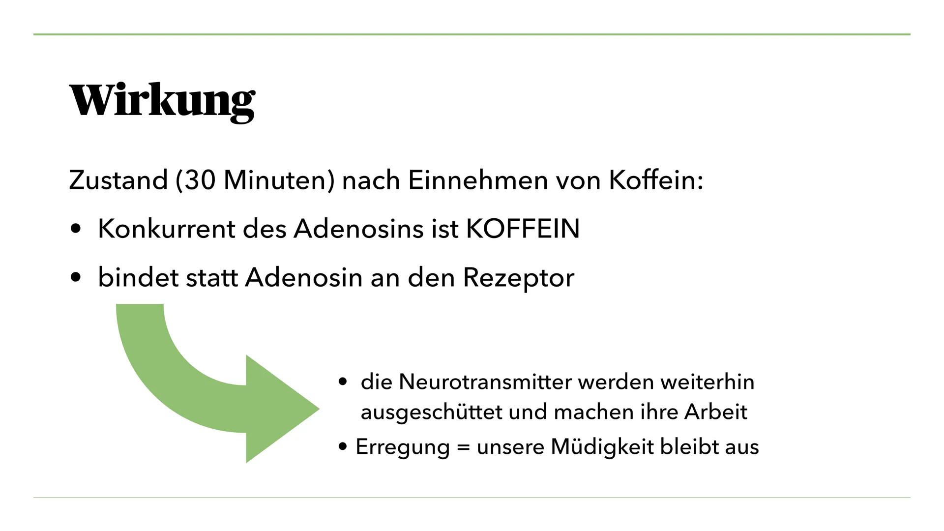 VON MIRA K. UND JULIA S.
Nikotin, Koffein, Teein
und seine Wirkung Inhalt I.
I. Nikotin
1. Was ist Nikotin?
2. Anwendung als Genussdroge
3. 