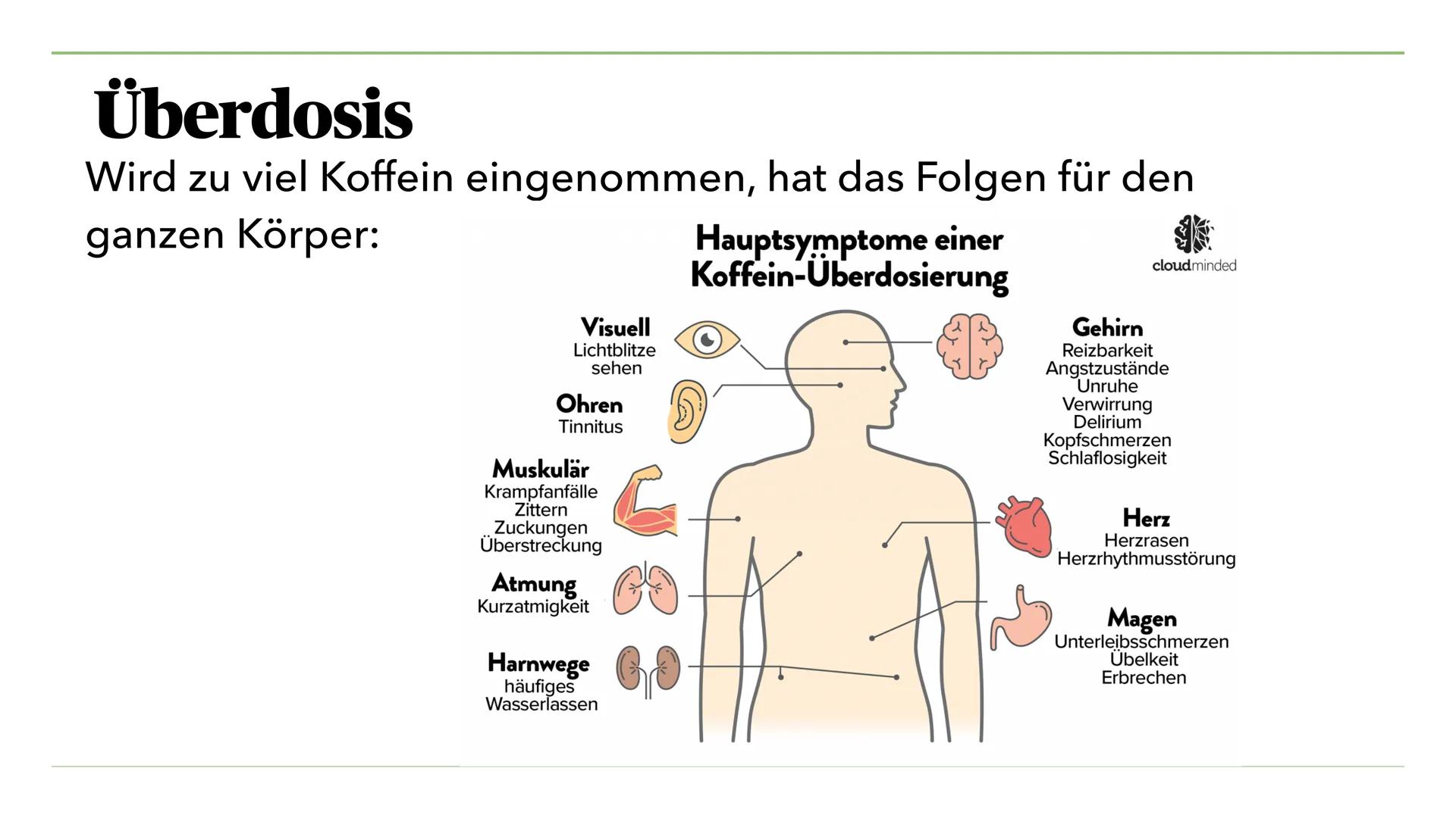 VON MIRA K. UND JULIA S.
Nikotin, Koffein, Teein
und seine Wirkung Inhalt I.
I. Nikotin
1. Was ist Nikotin?
2. Anwendung als Genussdroge
3. 