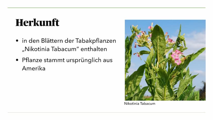 VON MIRA K. UND JULIA S.
Nikotin, Koffein, Teein
und seine Wirkung Inhalt I.
I. Nikotin
1. Was ist Nikotin?
2. Anwendung als Genussdroge
3. 