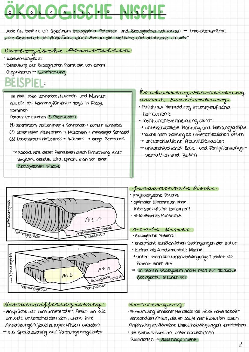 Abitur lernzettel.
biologie
ÖKOLOGIE
DEFINITIONEN:
„Okologie ist die Wissenschaft der Beziehungen des Organismus zur umgebenden Umwelt
das Ö