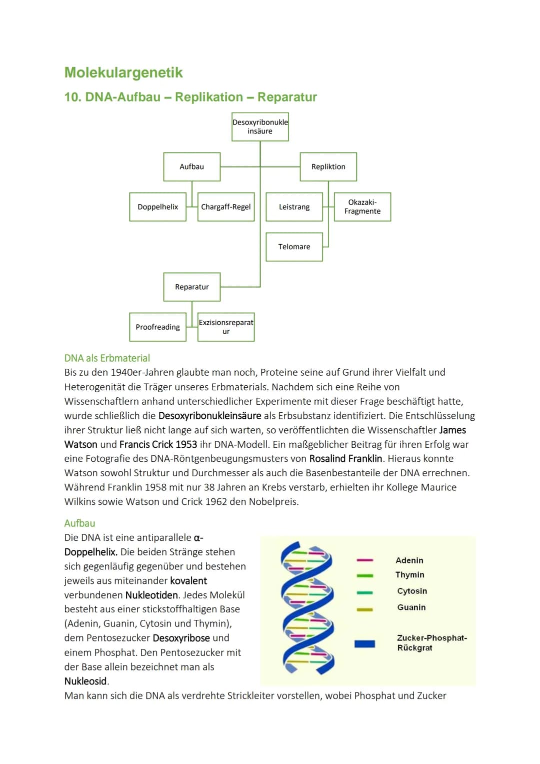 Molekulargenetik
10. DNA-Aufbau - Replikation - Reparatur
Doppelhelix
Aufbau
Reparatur
Proofreading
Desoxyribonukle
insäure
Chargaff-Regel
E