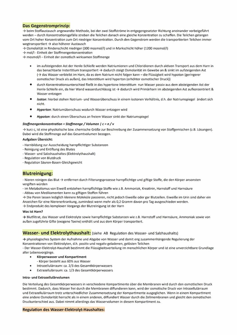 GP Lernzettel Ausscheidung / Nervensystem
● Bau und Funktionen der Niere
Bau:
9
O Nierenmark.
Nierenrinde
3 Nieren-Pyramide
Nierenkapsel
Har