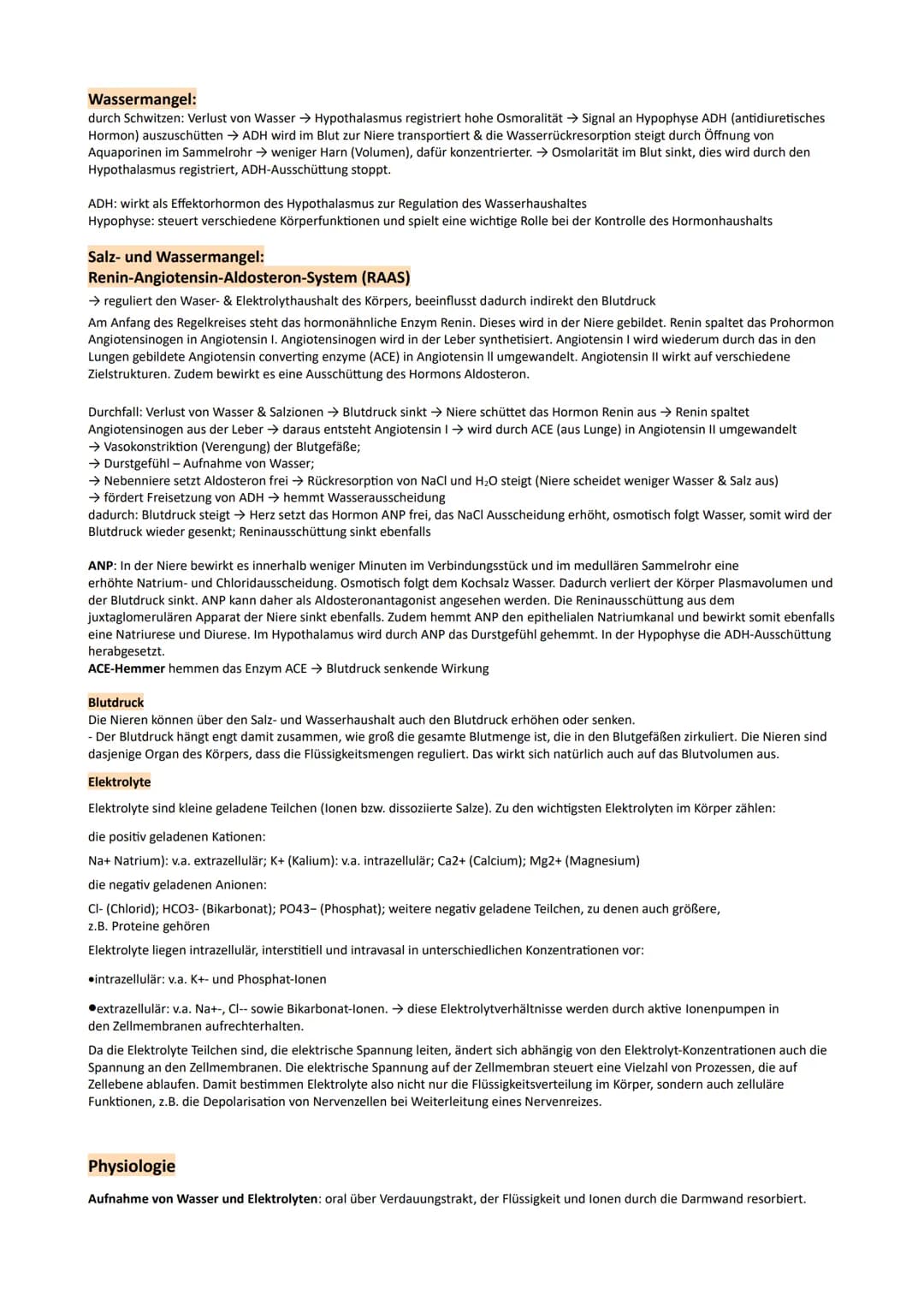 GP Lernzettel Ausscheidung / Nervensystem
● Bau und Funktionen der Niere
Bau:
9
O Nierenmark.
Nierenrinde
3 Nieren-Pyramide
Nierenkapsel
Har