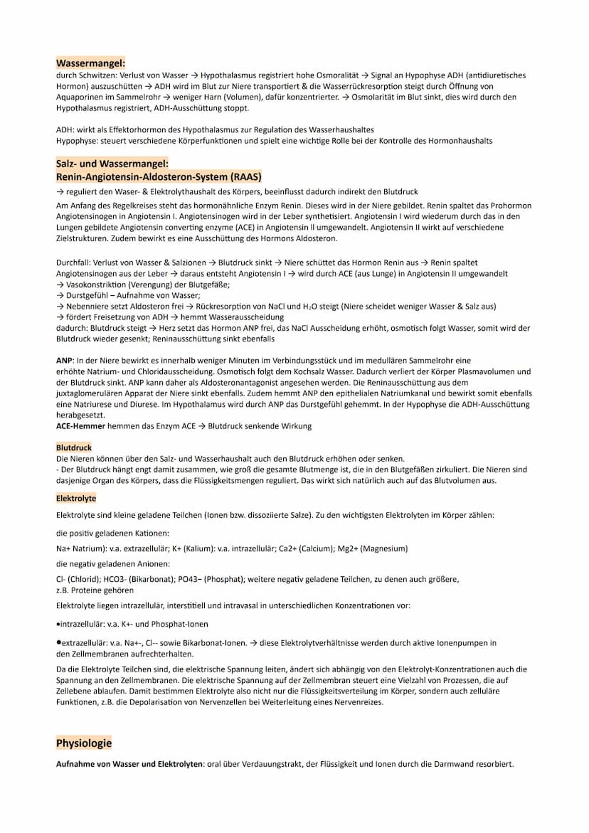 GP Lernzettel Ausscheidung / Nervensystem
● Bau und Funktionen der Niere
Bau:
9
O Nierenmark.
Nierenrinde
3 Nieren-Pyramide
Nierenkapsel
Har