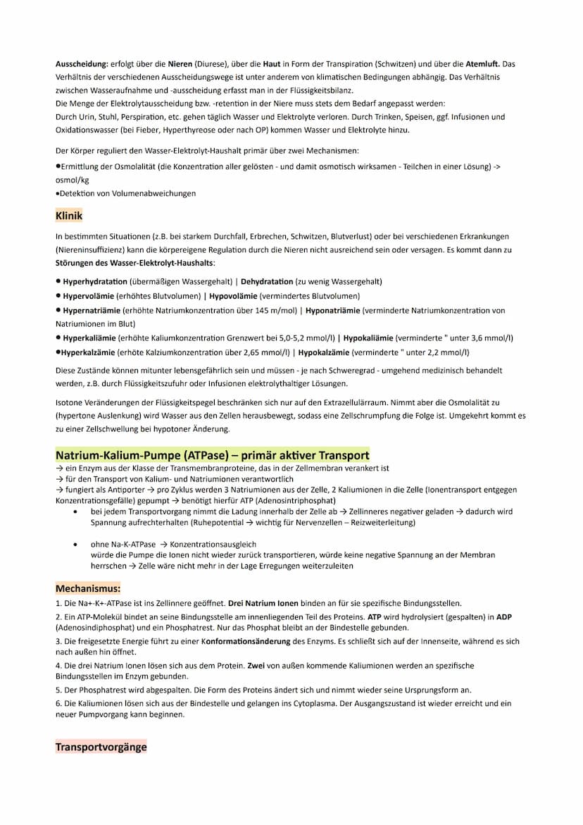 GP Lernzettel Ausscheidung / Nervensystem
● Bau und Funktionen der Niere
Bau:
9
O Nierenmark.
Nierenrinde
3 Nieren-Pyramide
Nierenkapsel
Har