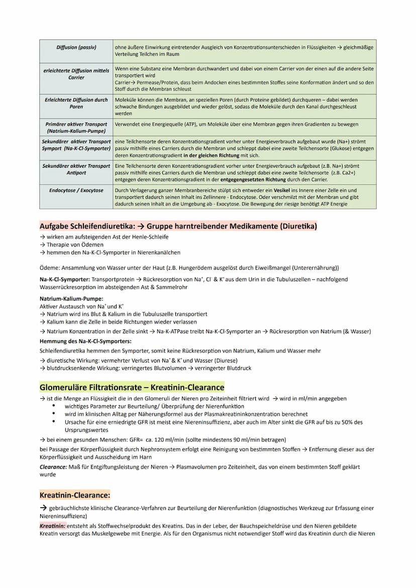 GP Lernzettel Ausscheidung / Nervensystem
● Bau und Funktionen der Niere
Bau:
9
O Nierenmark.
Nierenrinde
3 Nieren-Pyramide
Nierenkapsel
Har