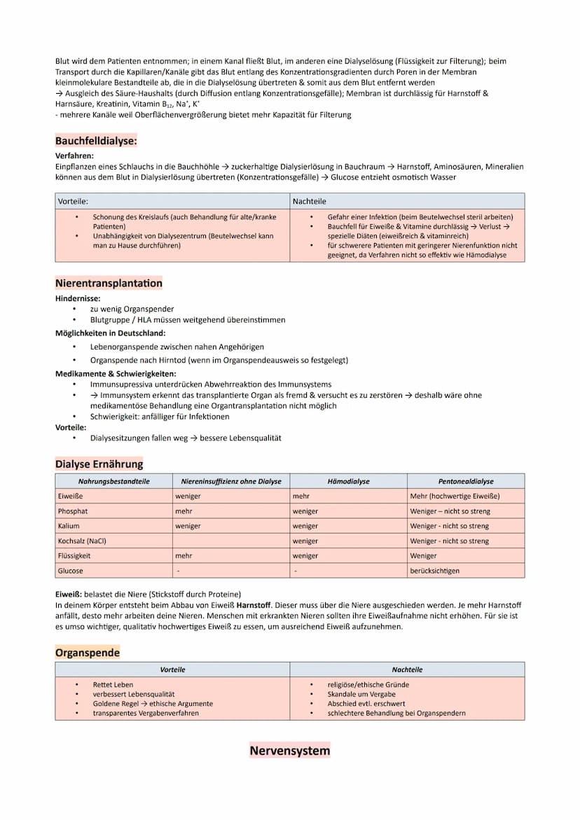 GP Lernzettel Ausscheidung / Nervensystem
● Bau und Funktionen der Niere
Bau:
9
O Nierenmark.
Nierenrinde
3 Nieren-Pyramide
Nierenkapsel
Har