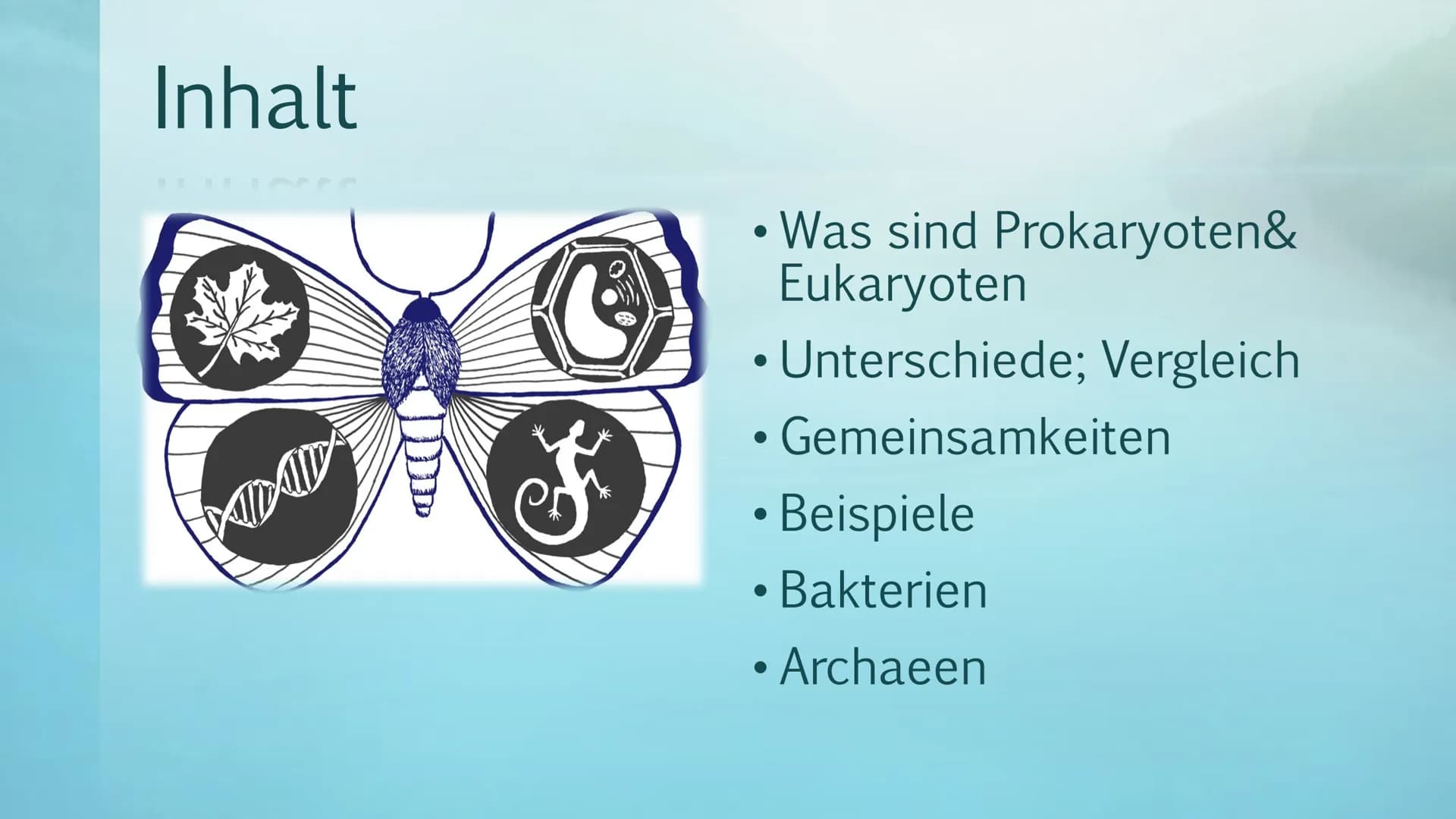 Prokaryoten& Eukaryoten
Viviana Scafiti Inhalt
KADAD
C
Was sind Prokaryoten&
Eukaryoten
• Unterschiede; Vergleich
●
Gemeinsamkeiten
●
• Beis