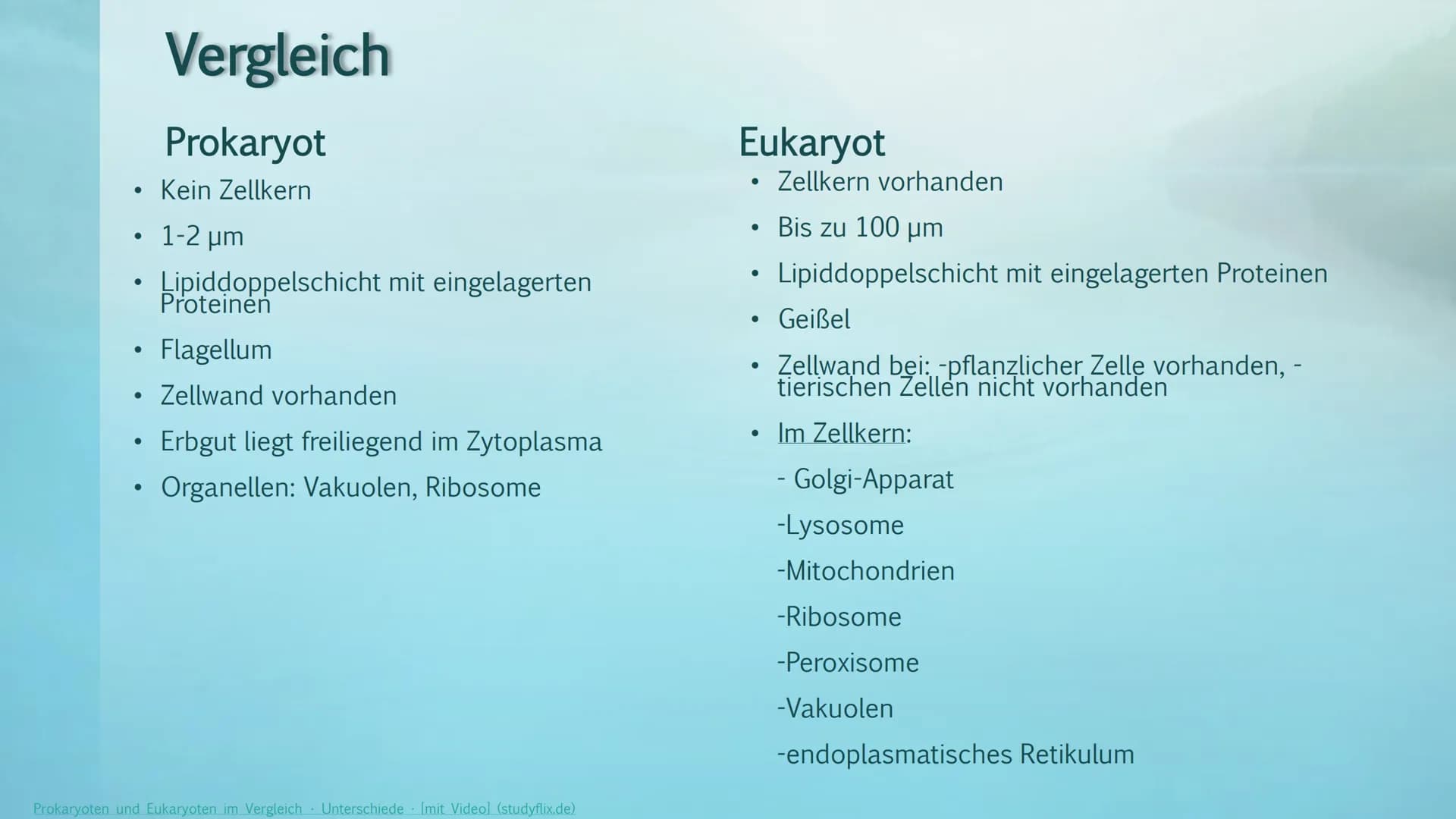 Prokaryoten& Eukaryoten
Viviana Scafiti Inhalt
KADAD
C
Was sind Prokaryoten&
Eukaryoten
• Unterschiede; Vergleich
●
Gemeinsamkeiten
●
• Beis