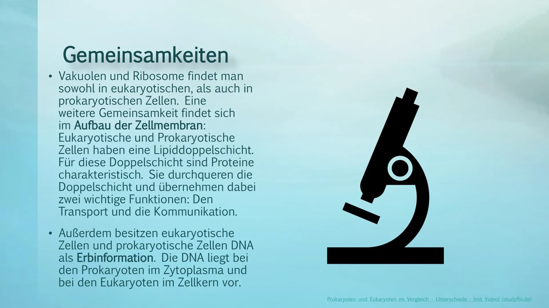 Prokaryoten& Eukaryoten
Viviana Scafiti Inhalt
KADAD
C
Was sind Prokaryoten&
Eukaryoten
• Unterschiede; Vergleich
●
Gemeinsamkeiten
●
• Beis