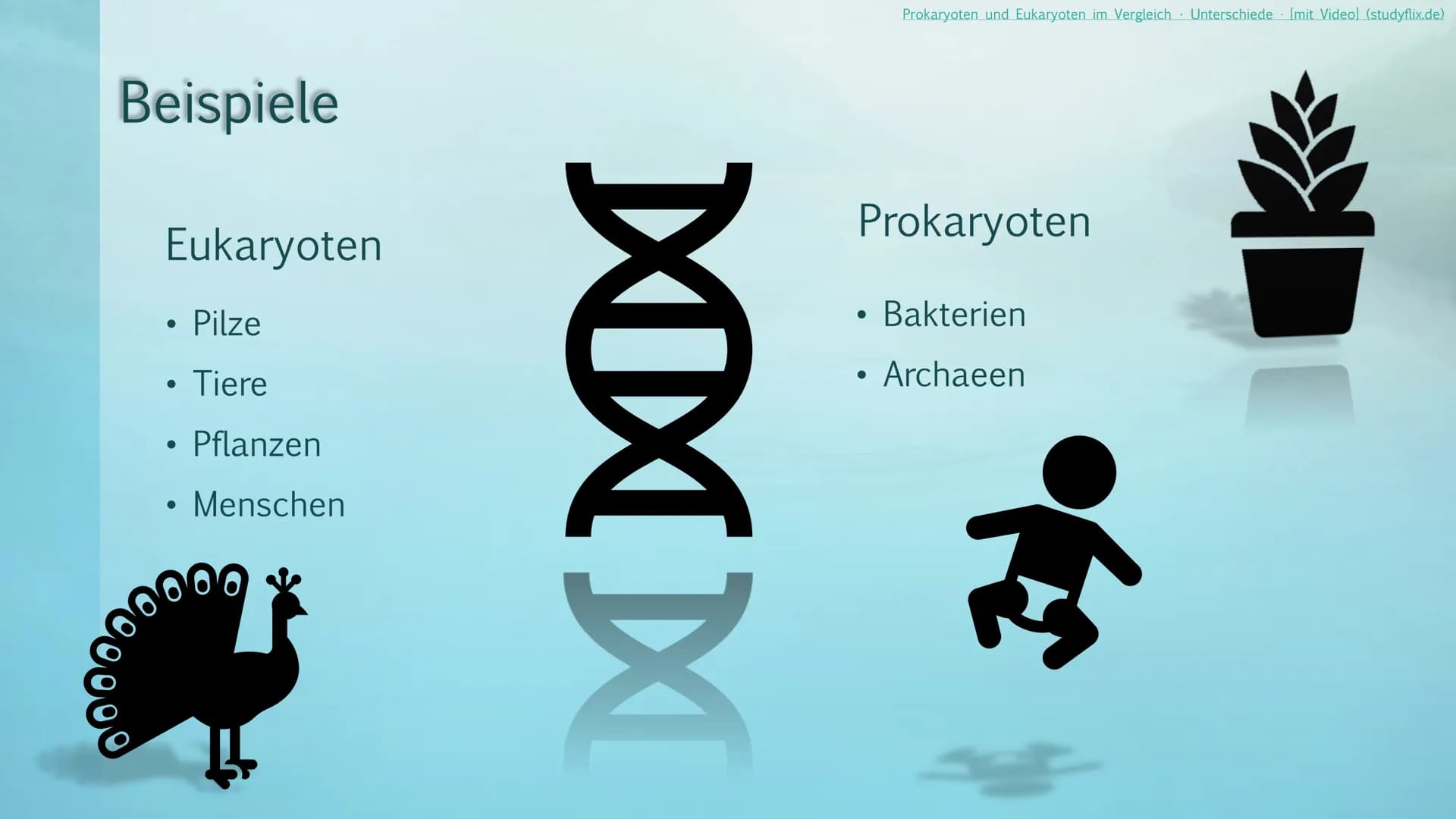 Prokaryoten& Eukaryoten
Viviana Scafiti Inhalt
KADAD
C
Was sind Prokaryoten&
Eukaryoten
• Unterschiede; Vergleich
●
Gemeinsamkeiten
●
• Beis