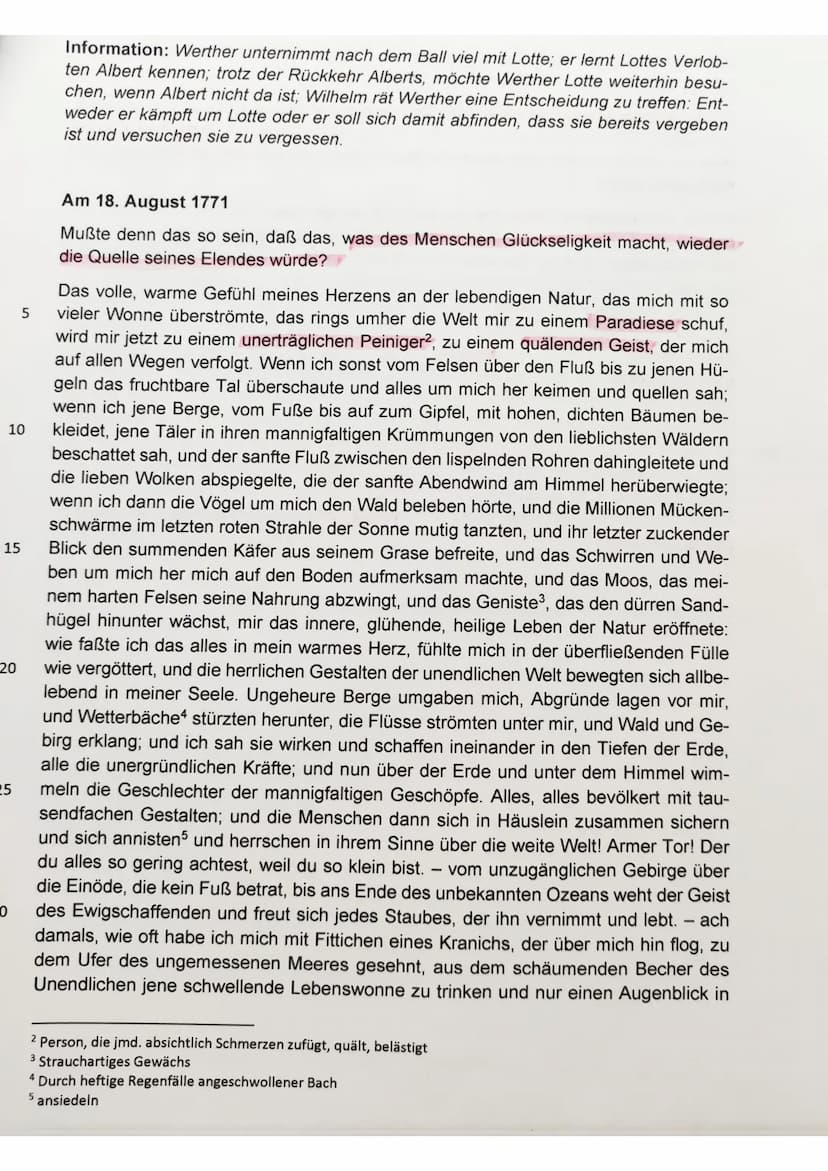 Überprüfen
1) Nennen Sie epochenspezifische Merkmale des Sturm und Drang.
Operatoren
Nennen
Analysieren
Klausur Nr. 4
2) Analysieren Sie den
