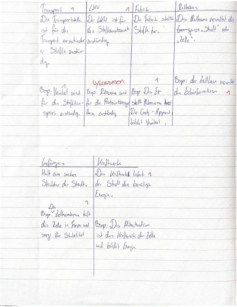 Biologie
1. Klausur E 1
Zellbiologie/ Cytologie
Name:Kiding
1. Einführung in die Biologie
( 11 BE) 6,5
Die Biologie vereint 8 Basiskonzepte.
