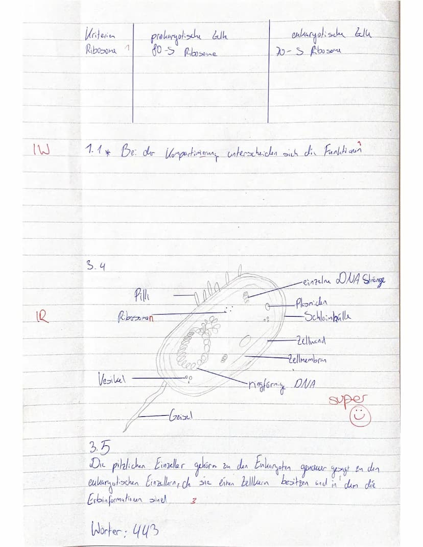 Biologie
1. Klausur E 1
Zellbiologie/ Cytologie
Name:Kiding
1. Einführung in die Biologie
( 11 BE) 6,5
Die Biologie vereint 8 Basiskonzepte.