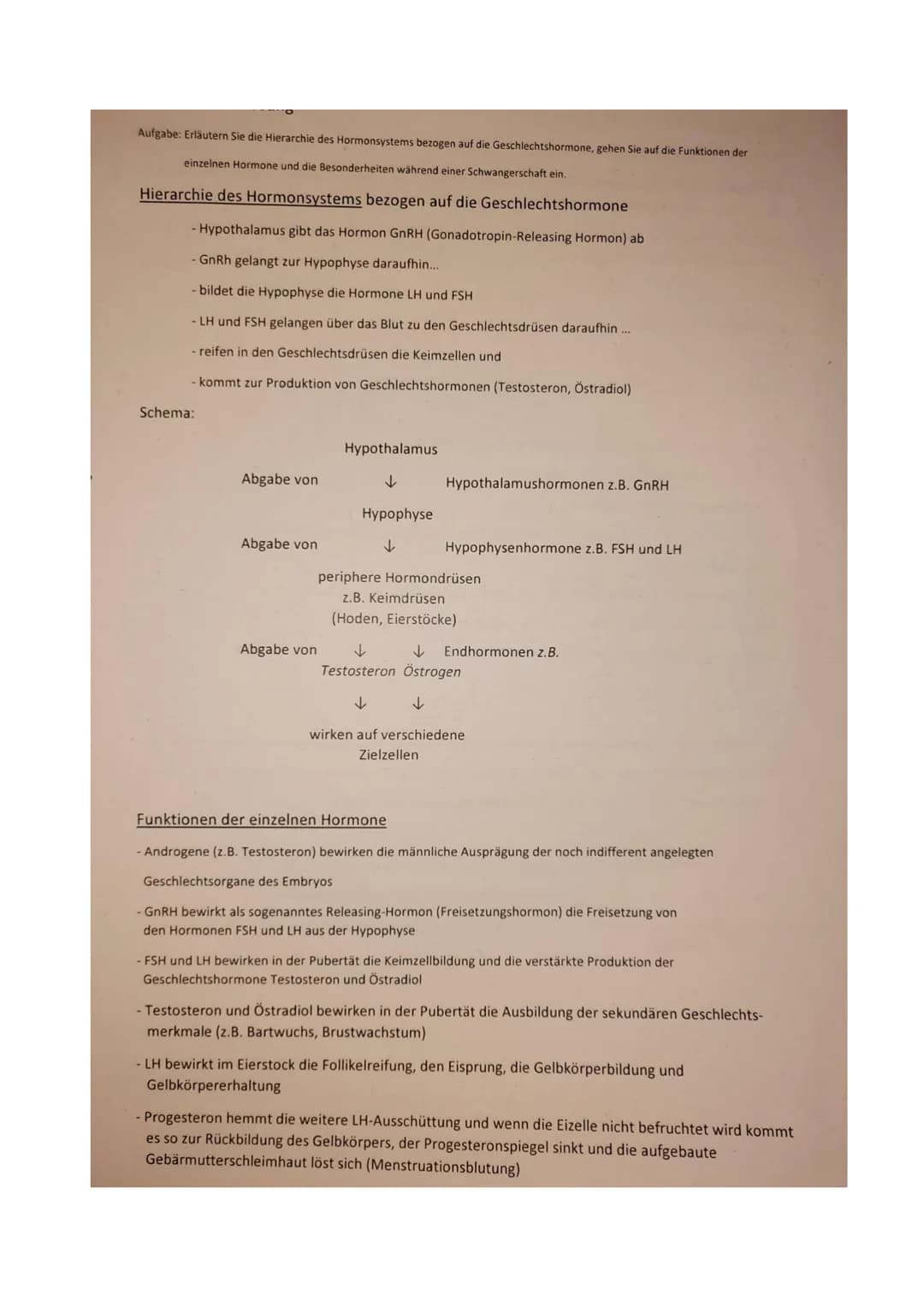 Arbeitsblatt Sexualhormone des Menschen
Hohlraum.
im Follikel
Follikel
fast reifer
Eizelle Follikel
reife Eizelle
aufge-
rissener
Follikel
S