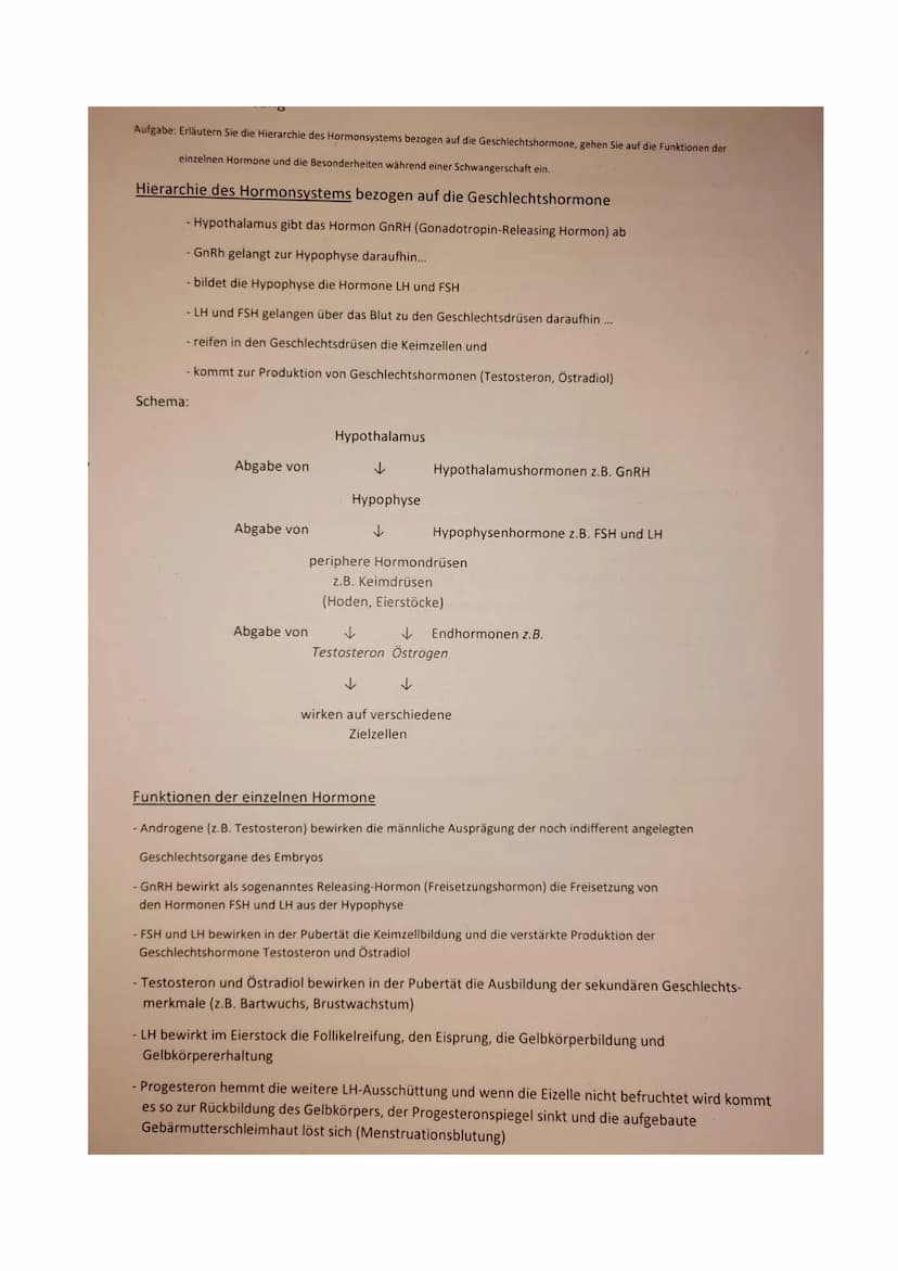 Arbeitsblatt Sexualhormone des Menschen
Hohlraum.
im Follikel
Follikel
fast reifer
Eizelle Follikel
reife Eizelle
aufge-
rissener
Follikel
S