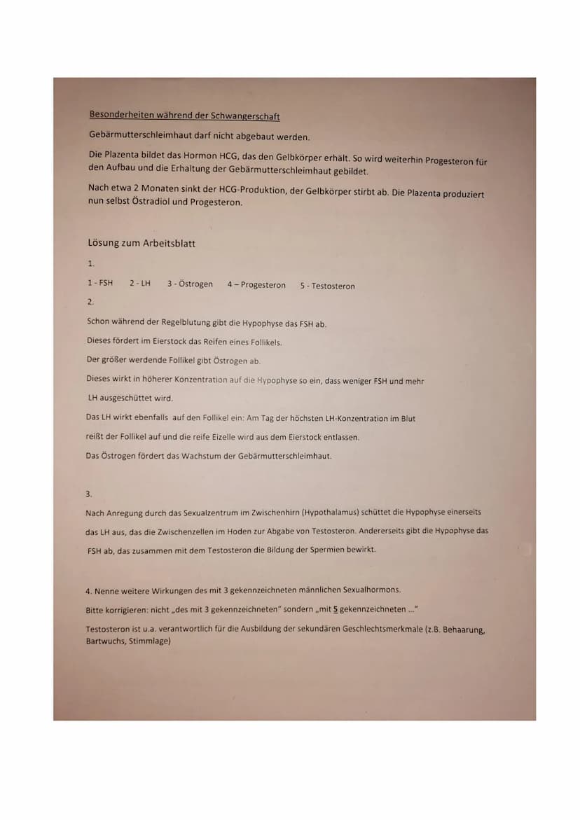 Arbeitsblatt Sexualhormone des Menschen
Hohlraum.
im Follikel
Follikel
fast reifer
Eizelle Follikel
reife Eizelle
aufge-
rissener
Follikel
S