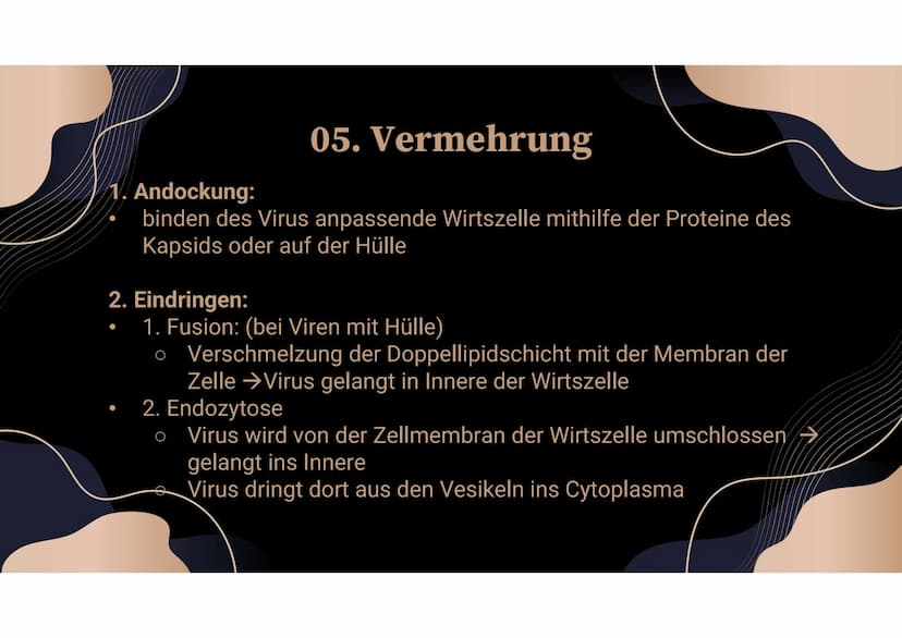 Viren Inhaltsverzeichnis
01 Definition
03 Aufbau
05
02 Beispielerkrankungen
04 Funktionsweise
Nutzen in der Natur/
Wissenschaft
Vermehrung 0