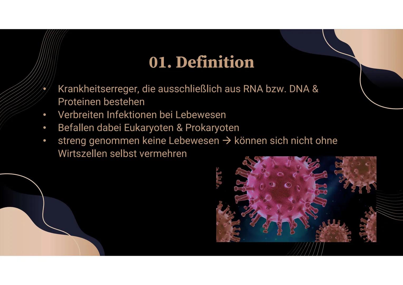 Vermehrung von Viren einfach erklärt: Aufbau und Eigenschaften von ...