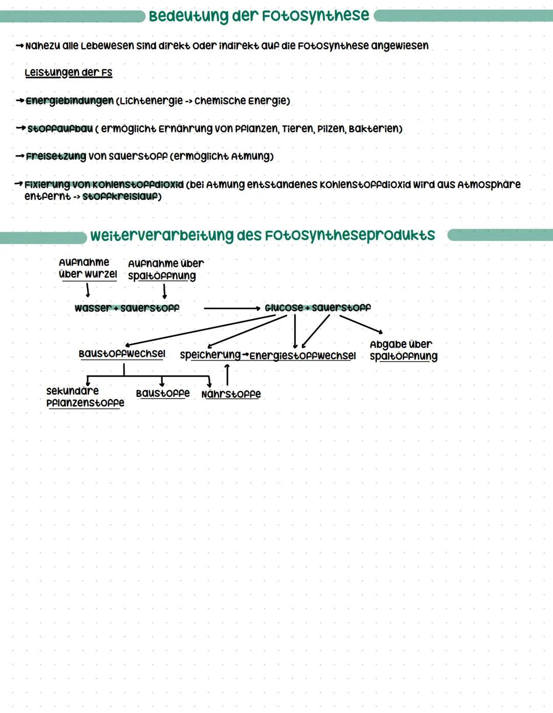 # Fotosynthese

Licht
↓
wasser + Kohlenstoffdioxid
sauerstoff + Glucose
↑
chlorophyll

6H₂O + 6CO
602+ C6H12O6

Stoff- und Energiewechsel gr