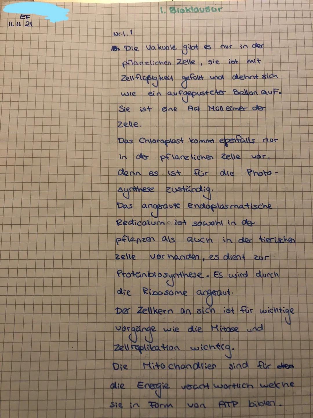 Zellorganellen, Zellaufbau &amp; Mitose Bio Klausur EF