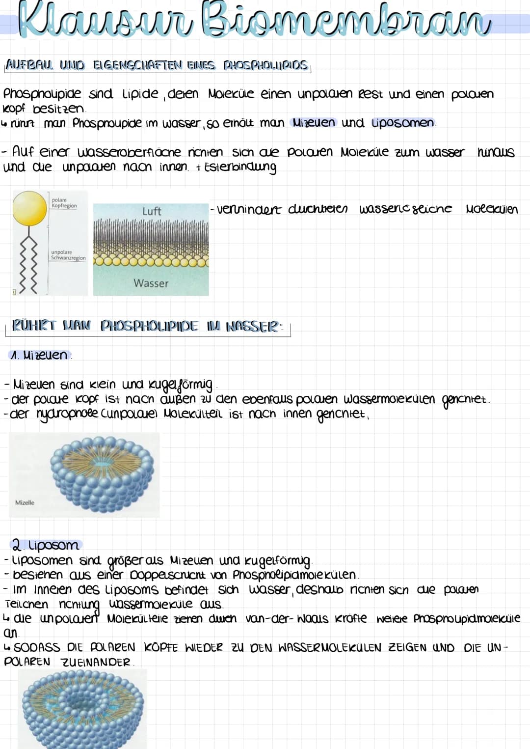 Klausur Biomembran
AUFBAU UND EIGENSCHAFTEN EINES PHOSPHOLIPIDS
Phospholipide sind lipide, deren Moleküle einen unpolaren Rest und einen pol