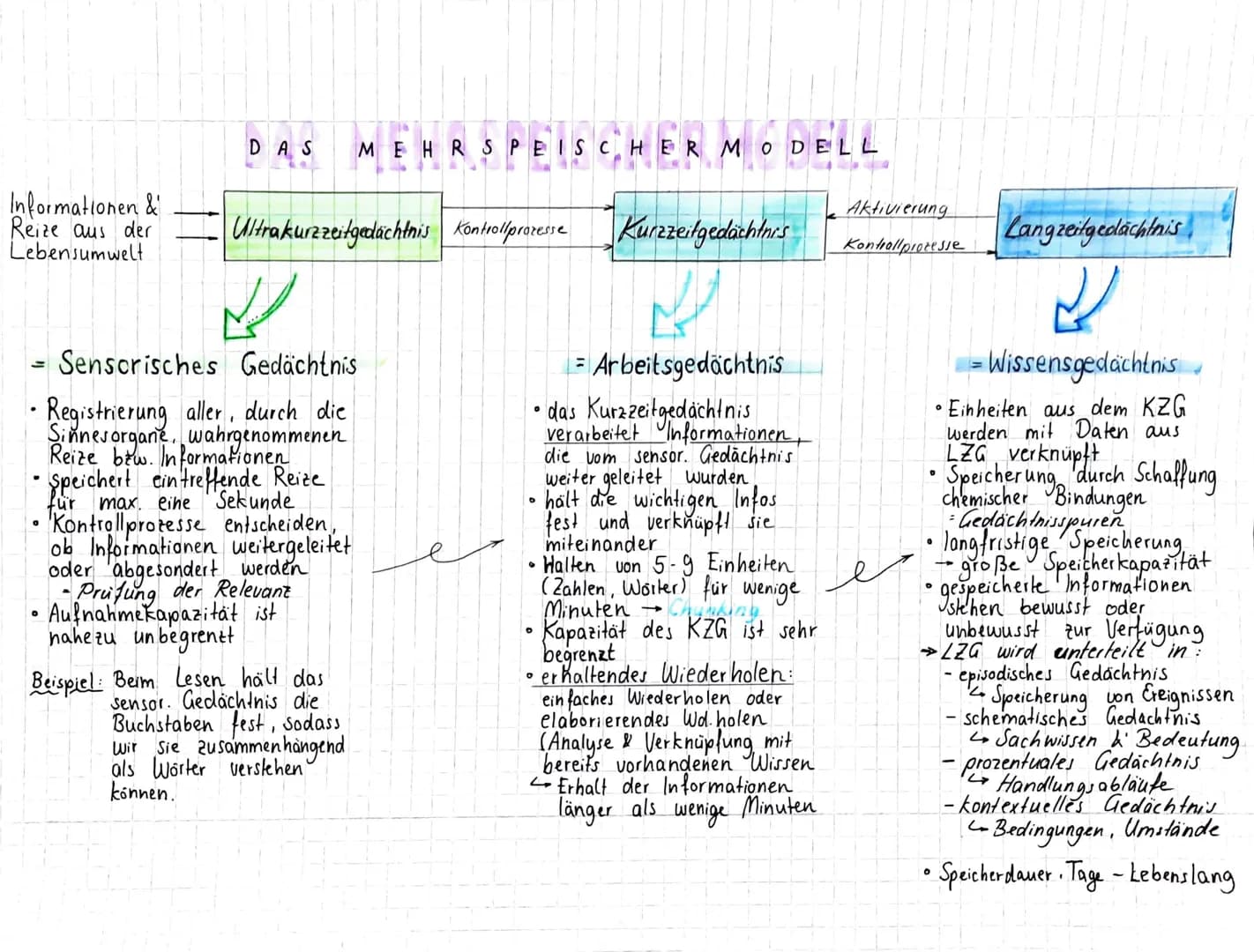 Informationen &
Reize aus der
Lebensumwelt
.
DAS MEHRSPEISCHER MODELL
Ultrakurzzeitgedächtnis Kontrollprozesse
Sensorisches Gedächtnis
Regis