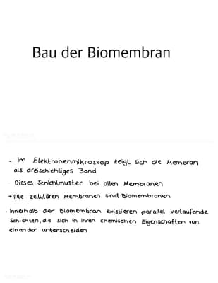 Know Die Biomembran, Osmose und Diffusion  thumbnail