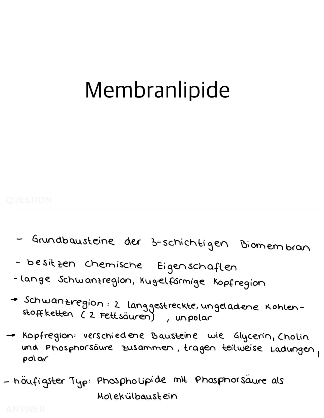 QUESTION
-
-
Bau der Biomembran
Im Elektronenmikroskop zeigt sich die Membran
als dreischichtiges Band
Dieses Schichtmuster bei allen Membra