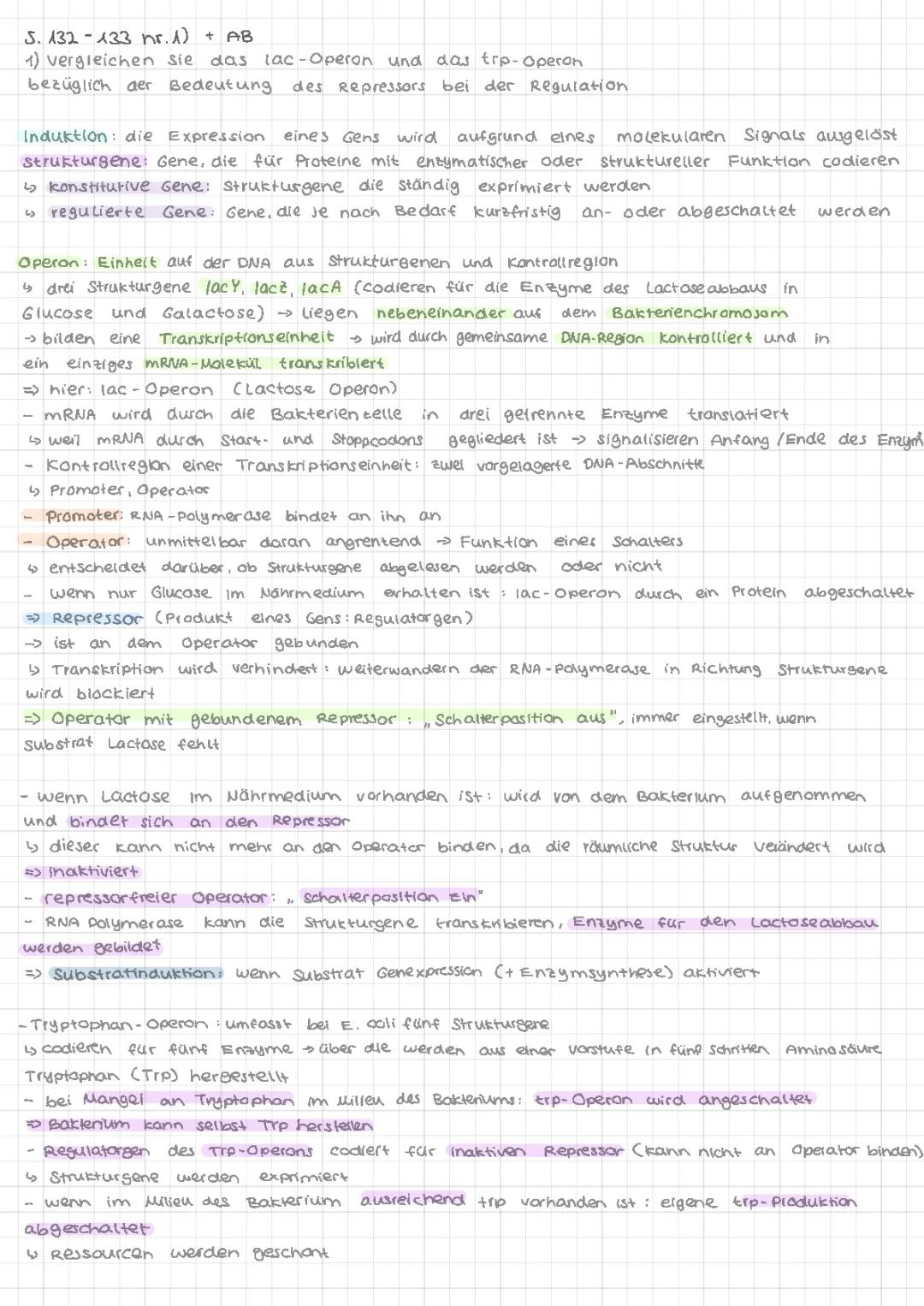 Lac-Operon und Trp-Operon Vergleich: Einfache Tabelle und Modelle