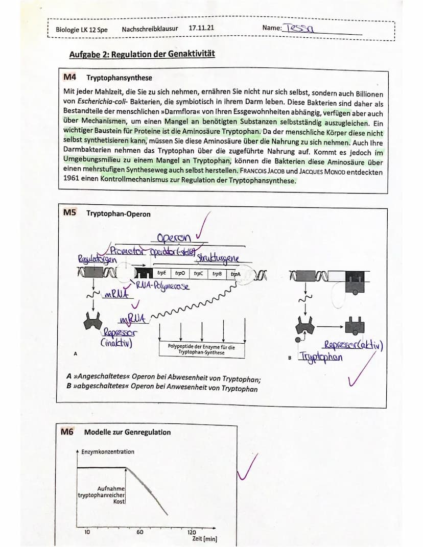 Biologie LK 12 Spe
1.1
Aufgabe 1
Erläutern Sie anhand von Material 1 den Begriff Adrenoleukodystrophie und beschreiben
Sie die möglichen Fol