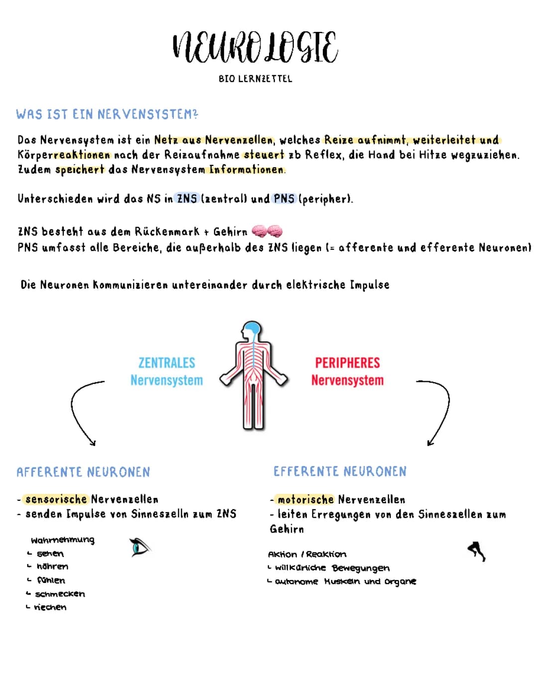 Neurologie