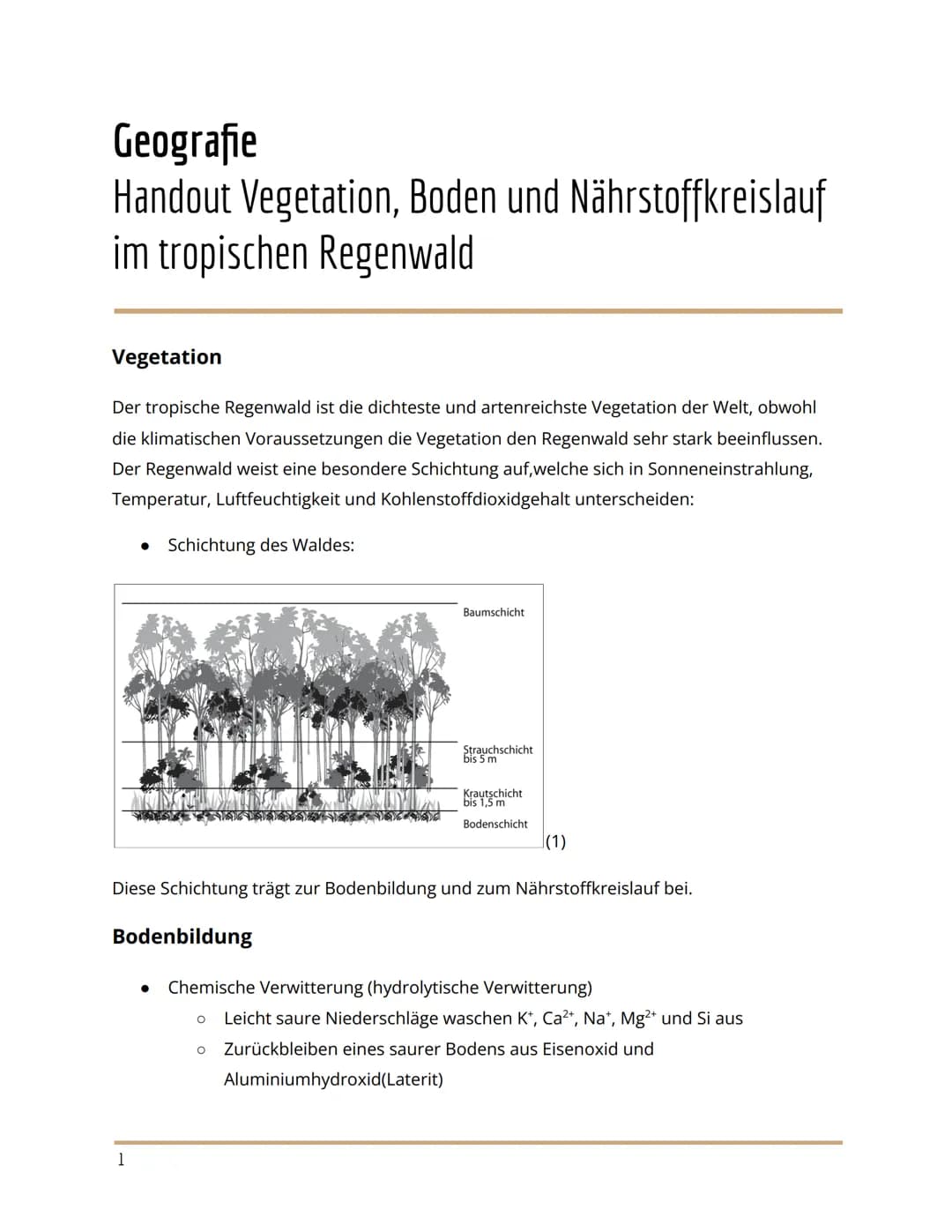 Geografie
Handout Vegetation, Boden und Nährstoffkreislauf
im tropischen Regenwald
Vegetation
Der tropische Regenwald ist die dichteste und 