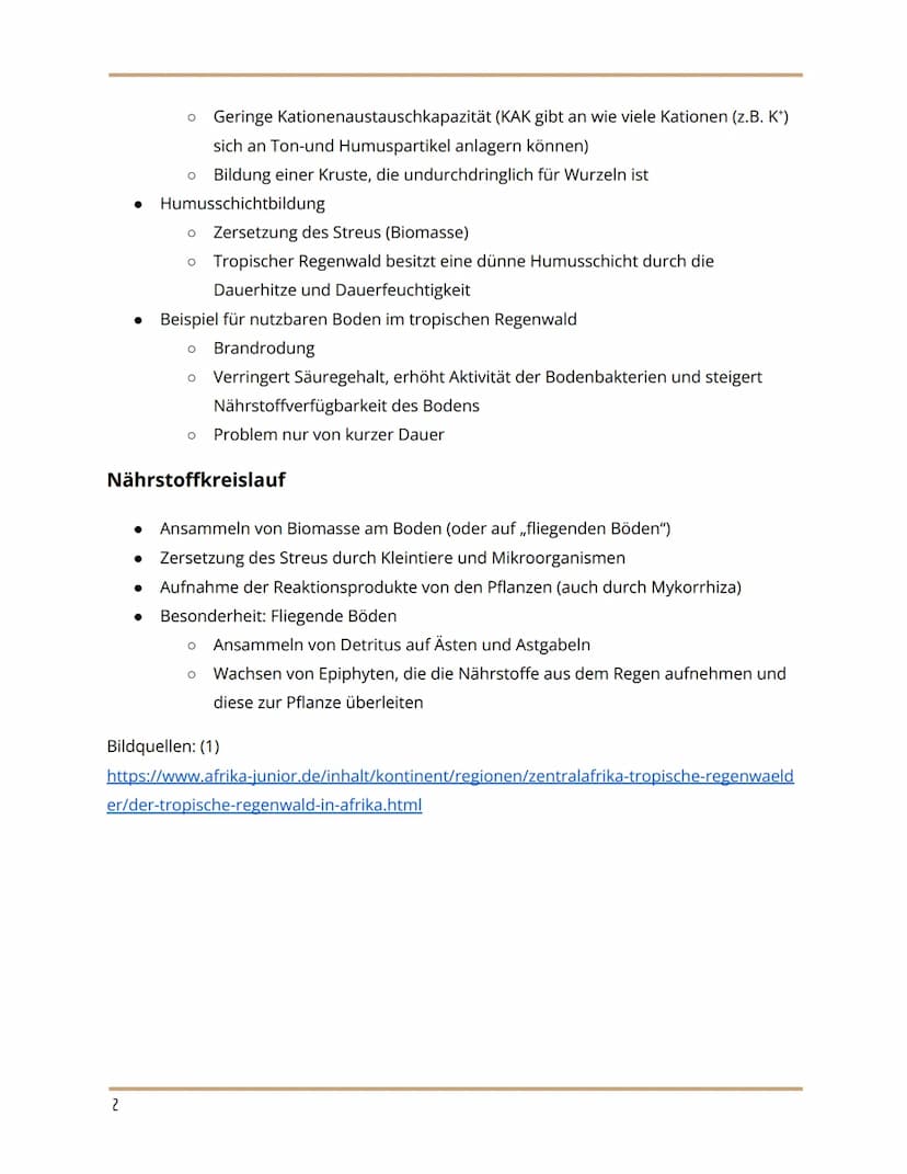 Geografie
Handout Vegetation, Boden und Nährstoffkreislauf
im tropischen Regenwald
Vegetation
Der tropische Regenwald ist die dichteste und 