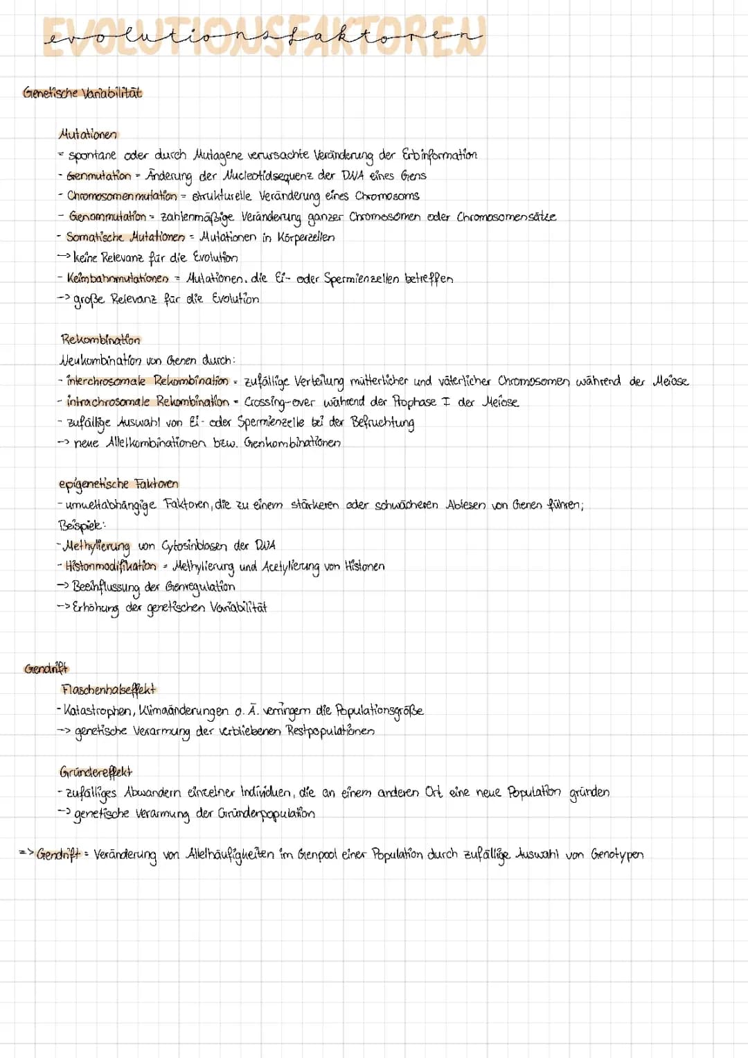 Evolutionsfaktoren