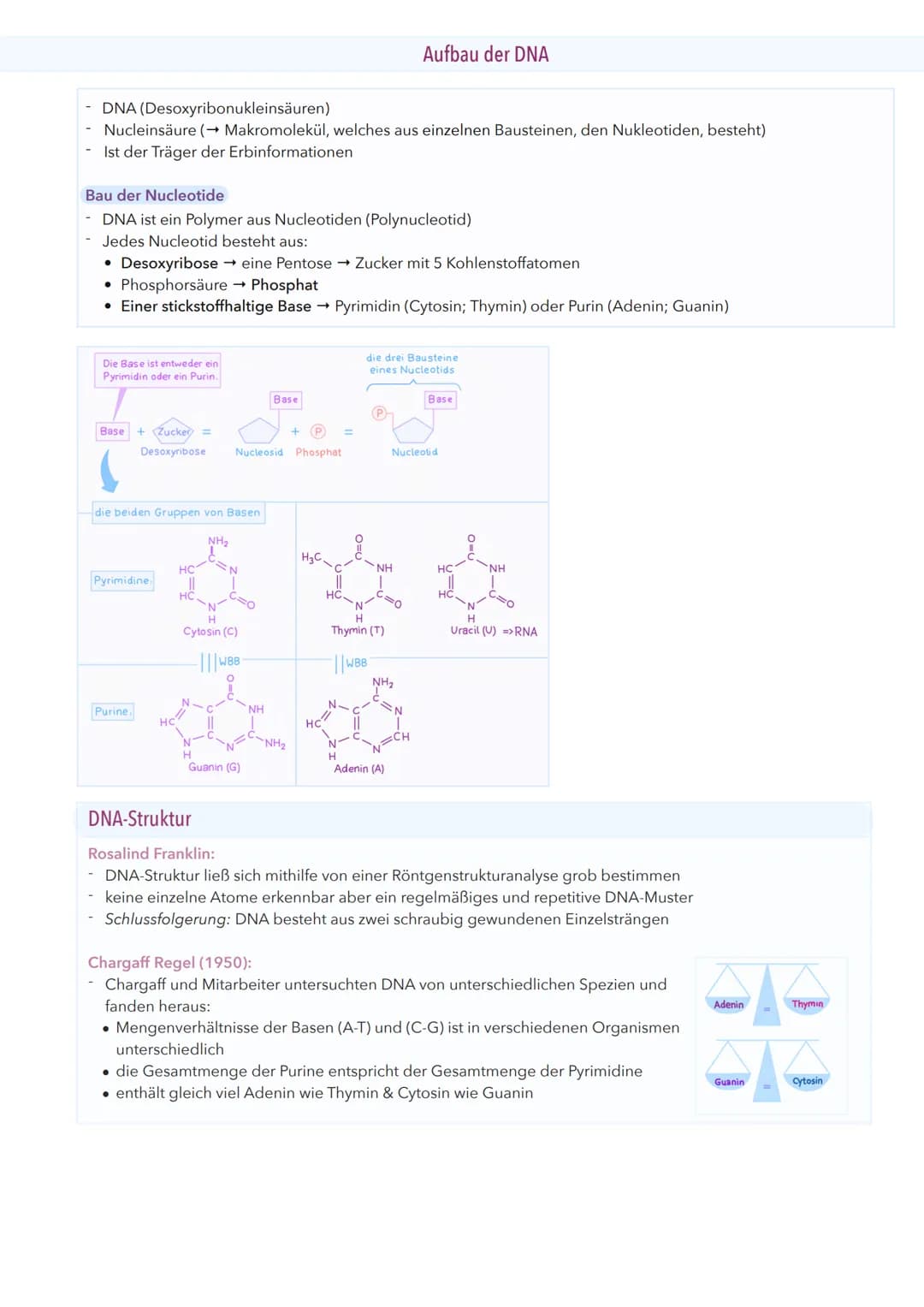 Aufbau der DNA
