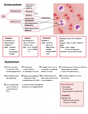 Know Blut, Immunsystem, Herz Bio thumbnail