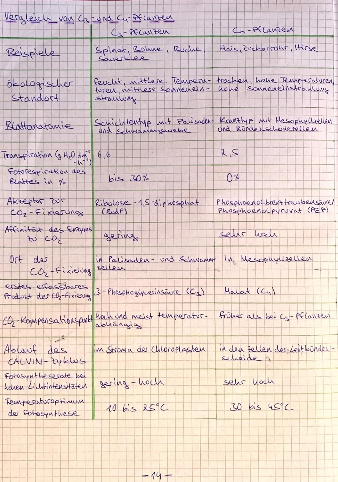 stoffwechsel
Unter Stoffwechsel versteht man die Gesamtheit der im
lebenden organismus ablaufenden biochemischen Vorgänge. Das
sind alle Sto