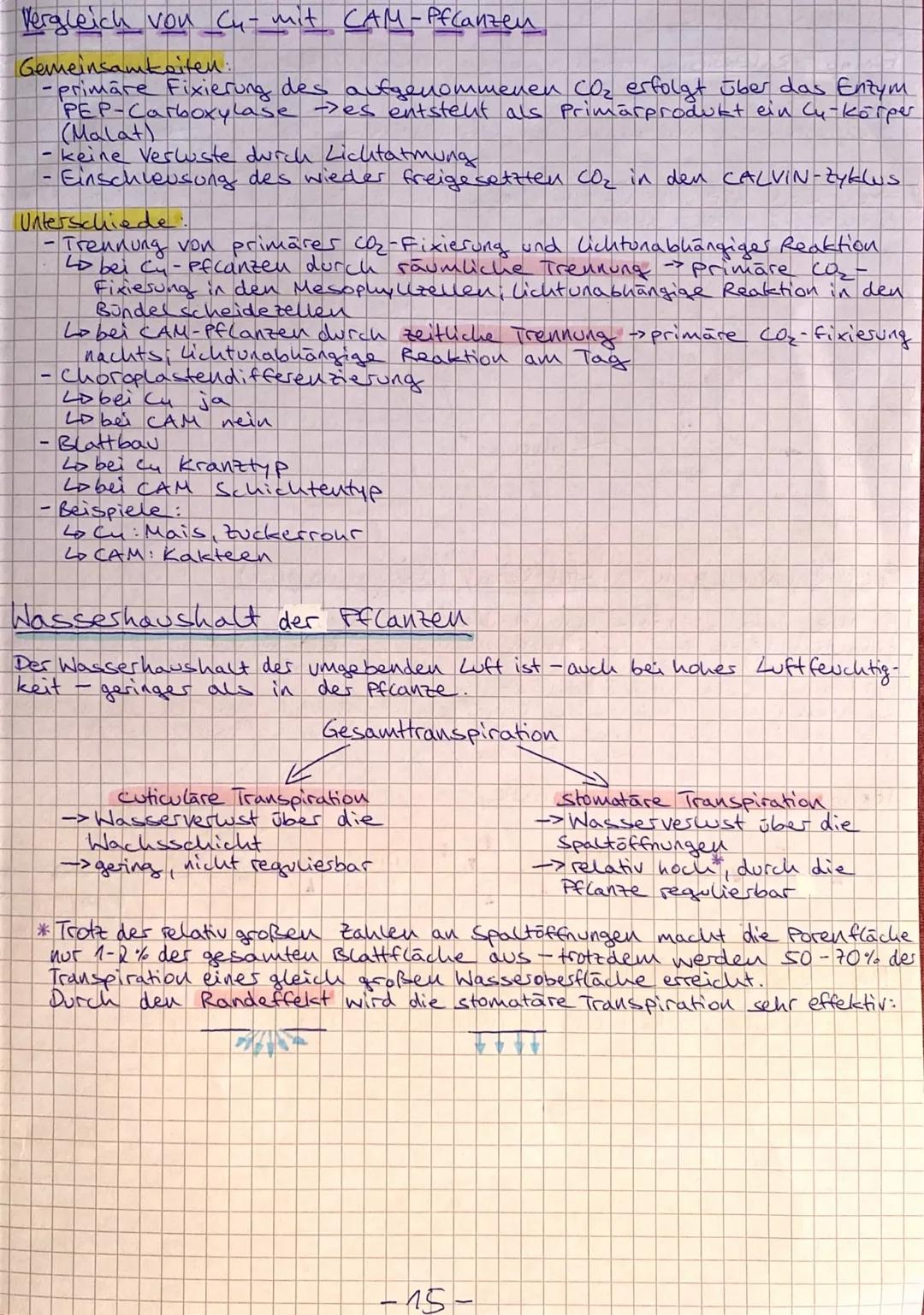 stoffwechsel
Unter Stoffwechsel versteht man die Gesamtheit der im
lebenden organismus ablaufenden biochemischen Vorgänge. Das
sind alle Sto