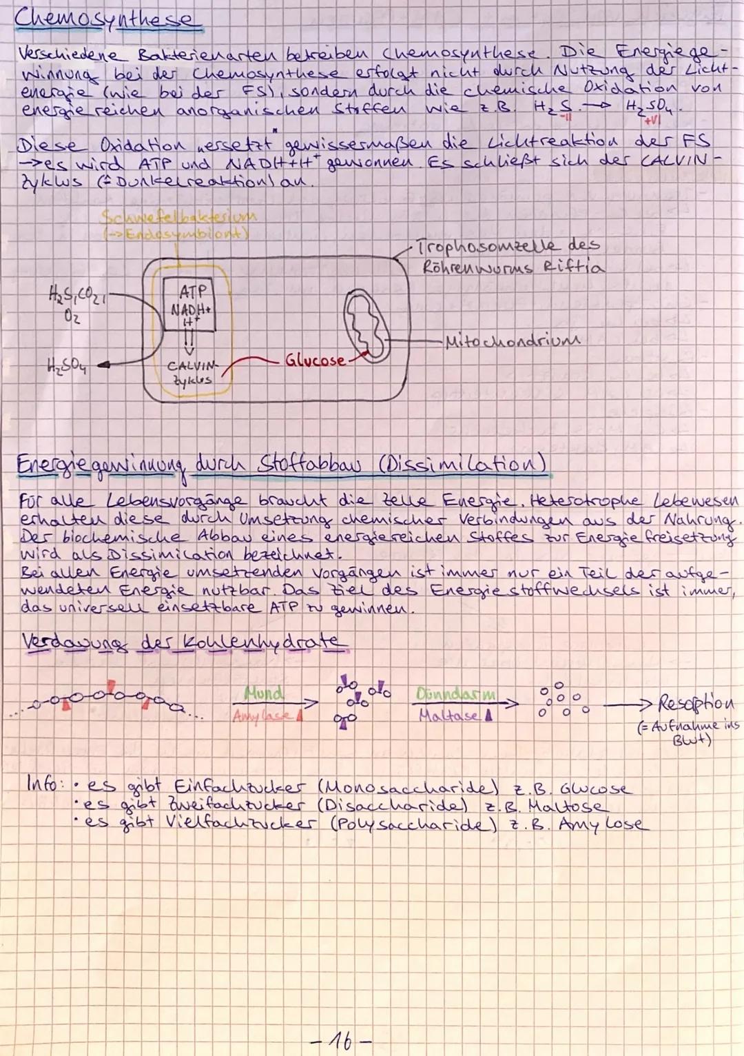 stoffwechsel
Unter Stoffwechsel versteht man die Gesamtheit der im
lebenden organismus ablaufenden biochemischen Vorgänge. Das
sind alle Sto