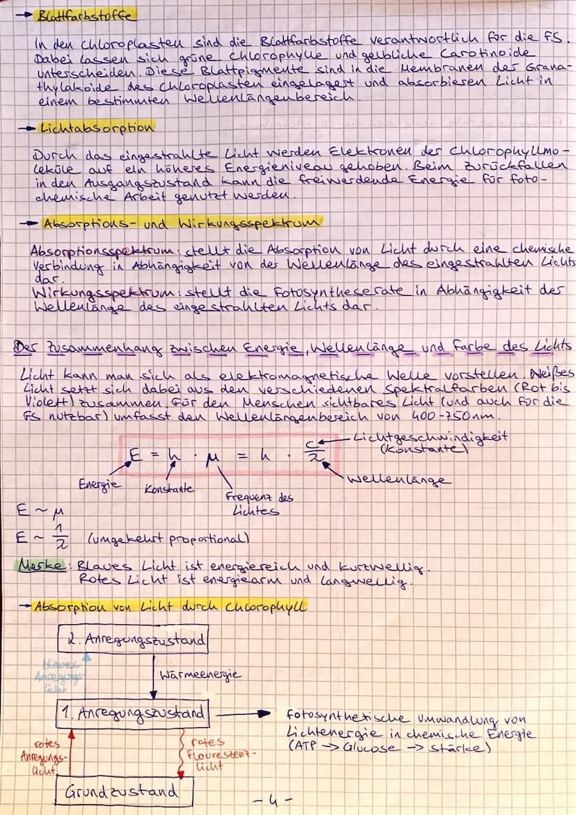 stoffwechsel
Unter Stoffwechsel versteht man die Gesamtheit der im
lebenden organismus ablaufenden biochemischen Vorgänge. Das
sind alle Sto