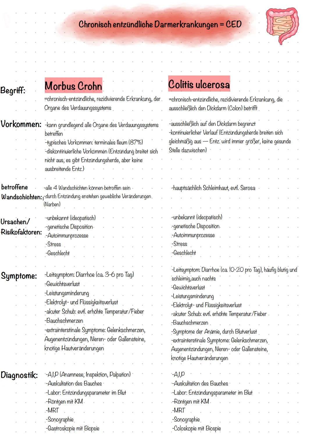 Chronisch entzündliche Darmerkrankungen = CED

Begriff:
Morbus Crohn
Colitis ulcerosa
#chronisch-entzündliche, rezidivierende Erkrankung, de