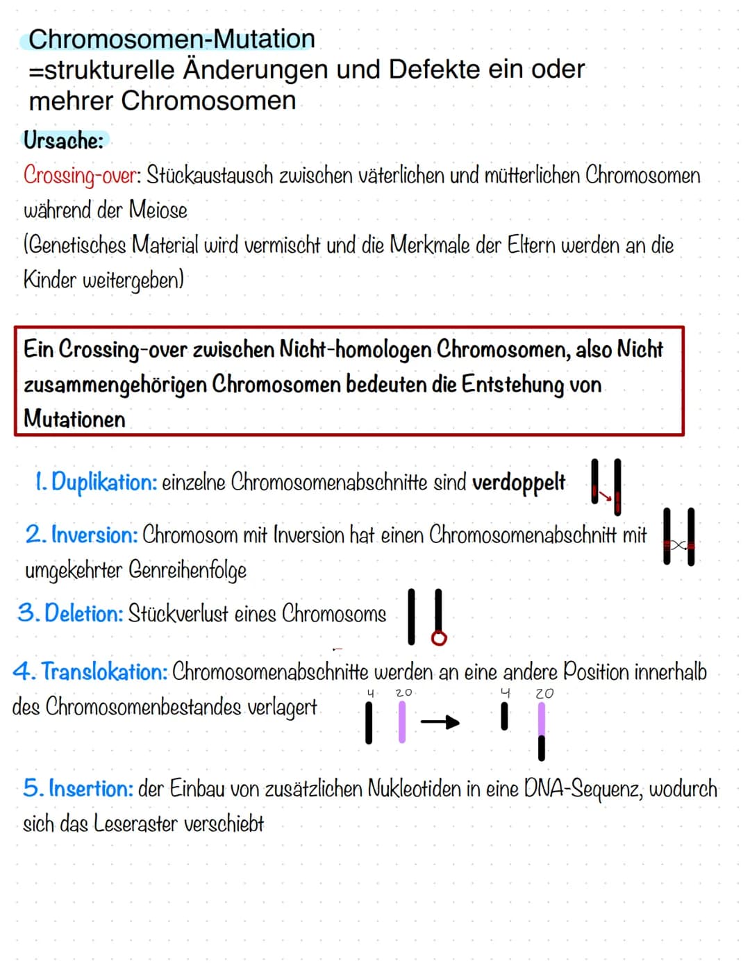Mutationen
Genom-mutationen:
= Mutationen, die die Anzahl von Chromosomen in einer Zelle betreffen
-> bei der Verteilung der Chromosomen bei