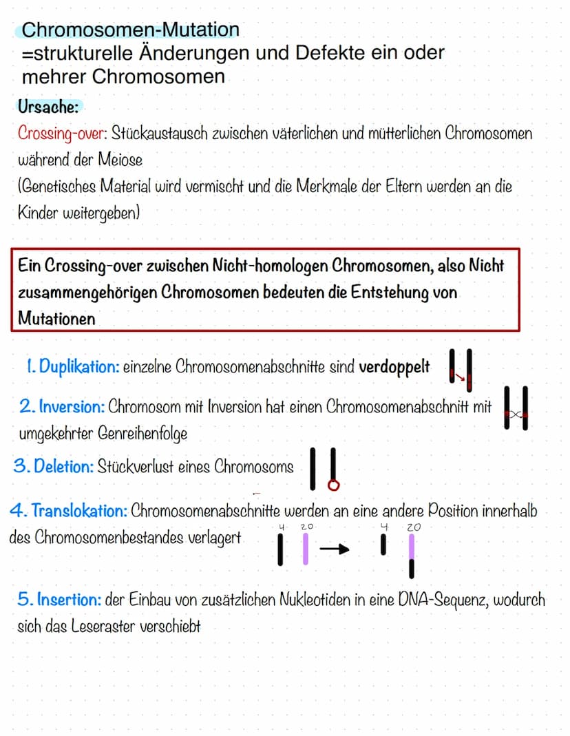 Mutationen
Genom-mutationen:
= Mutationen, die die Anzahl von Chromosomen in einer Zelle betreffen
-> bei der Verteilung der Chromosomen bei