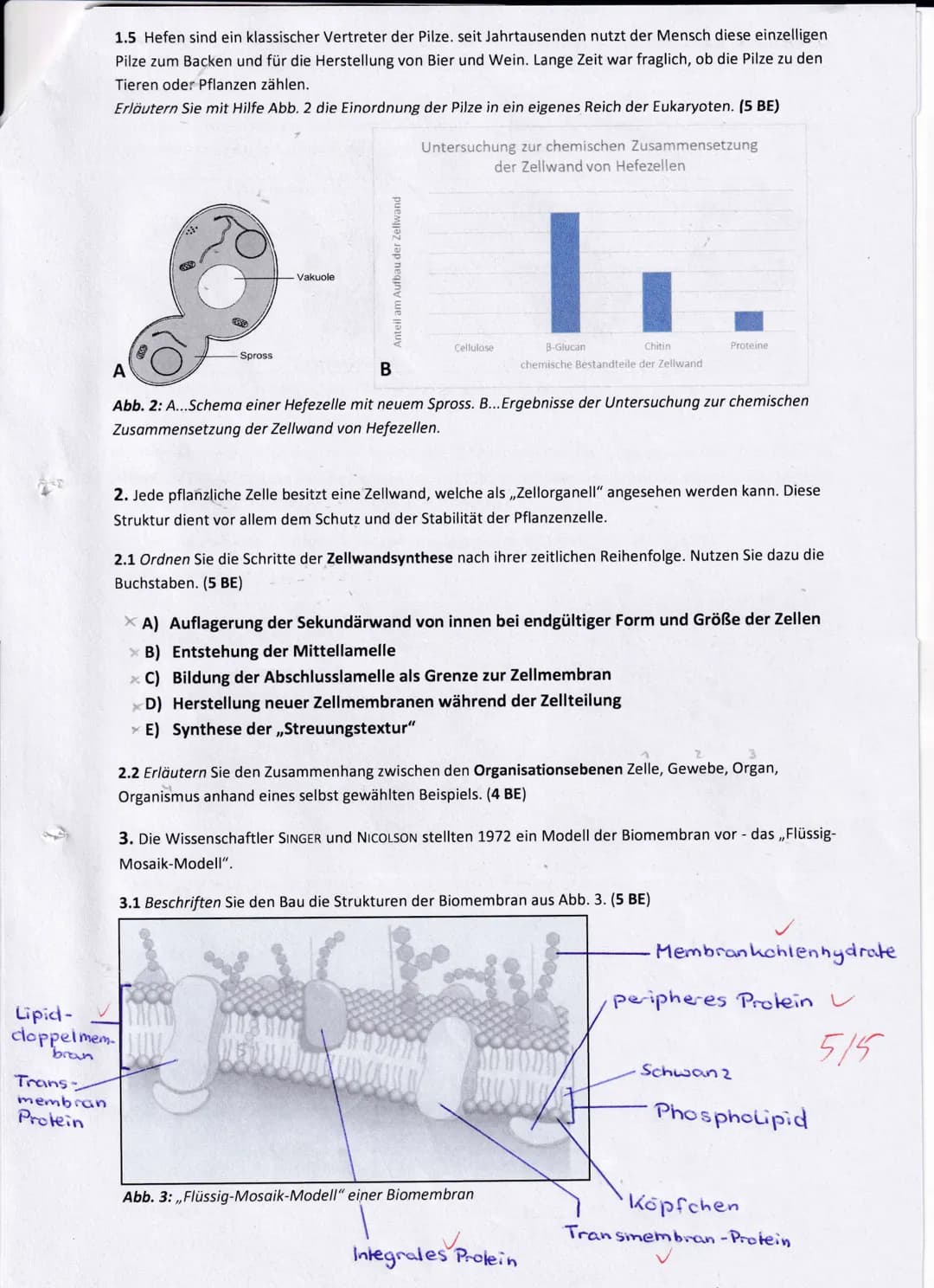 Name:
Kurs: G-2
Klausur - Biologie Grundkurs 11
Dauer: 90min inkl. Lesezeit
Datum: 26. Nov, 2020
1. Eine Zelle, lateinisch ,,cellula" - klei