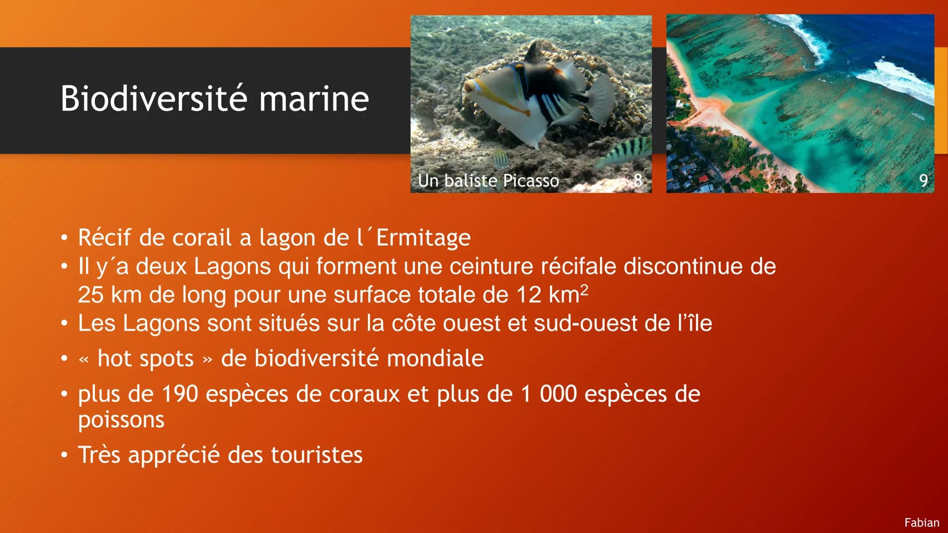 La Réunion
Département et région d'outre-mer Français situé dans l'Ouest de l'océan Indien
Fabian Heinz, Raphael Bleiweiß Déclinaison
• Info